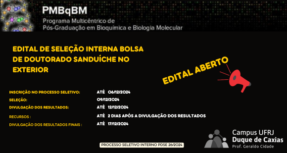 Edital de Seleção Interna Bolsa de Doutorado Sanduíche no Exterior da CAPES (PDSE No. 26/2024)